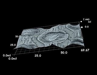 塑料包装的3D形状测量